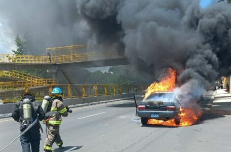 Acción inmediata de bomberos permitió sofocar el siniestro de un vehículo en Zacatecoluca