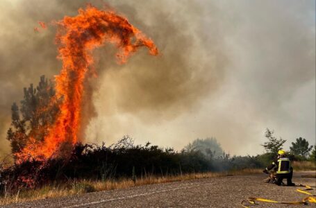“Dragón de fuego” registrado en un incendio forestal en Galicia, España