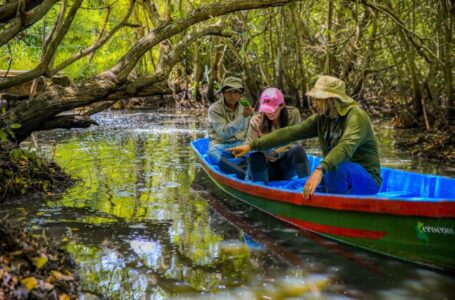 Ministerio de Medio Ambiente mejora control y conservación de caimanes y cocodrilos