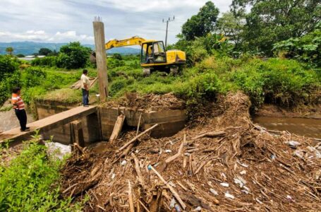 Agricultura colabora con remoción y tala de árboles derribados en zonas de riesgos de La Libertad