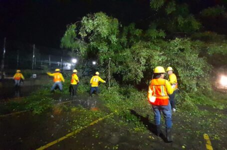 Equipos del MOP retiran árboles caídos en San Salvador