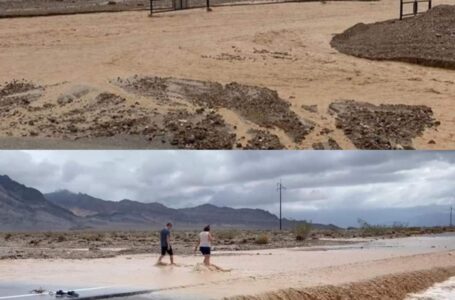 Se inunda el Valle de La Muerte, en Estados Unidos, un fenómeno que ocurre cada mil años
