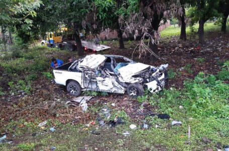 Ebrio choca su auto contra un árbol y causa lesiones graves a dos de sus acompañantes