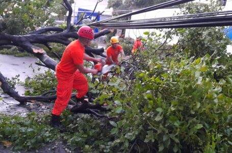 Protección Civil contabiliza 56 viviendas afectadas por lluvias