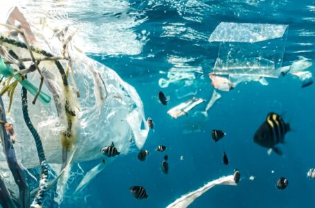 Ministerio de Medio Ambiente prohíbe el plástico de un solo uso en Áreas Naturales Protegidas