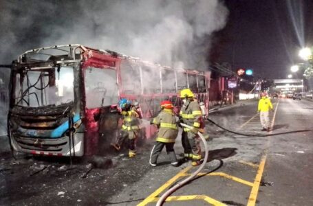 Sofocan incendio en bus de la ruta 29 sobre el bulevar del Ejército