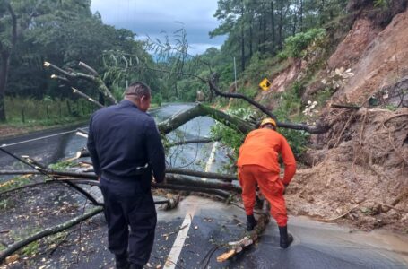 Bomberos y Protección Civil retiran varios derrumbes en distintos puntos del país