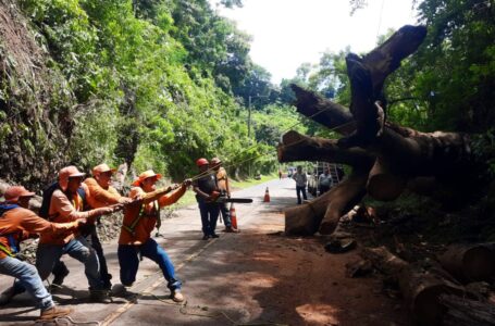 Habilitan paso de vehículos en ruta Panorámica