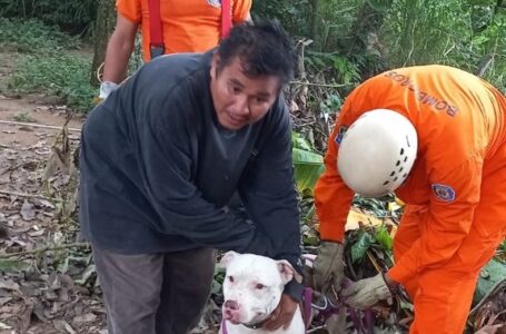 Bomberos rescatan a un perro que cayó en una quebrada de la Santísima Trinidad