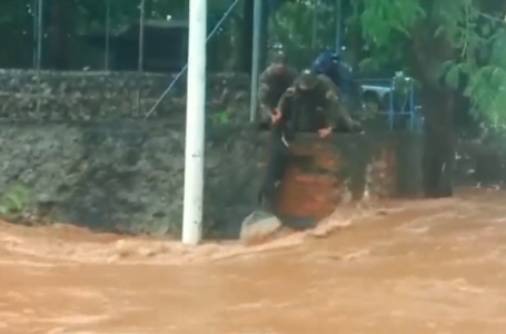 Soldados rescatar a un perro a punto de ser arrastrado por un río