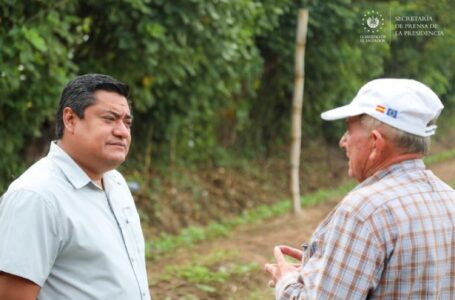 MAG aplica fungicidas con drones agrícolas en Zapotitán