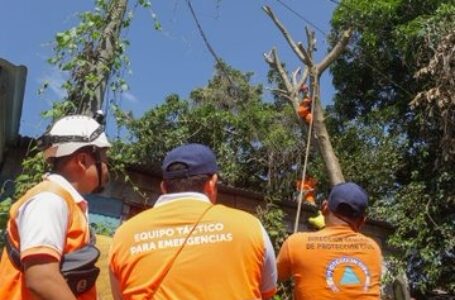 Protección Civil realiza jornada de mitigación en Ciudad Delgado y Mejicanos