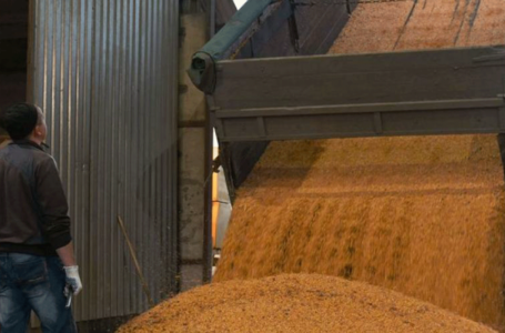 Rusia suspende acuerdo de exportación de granos con Ucrania