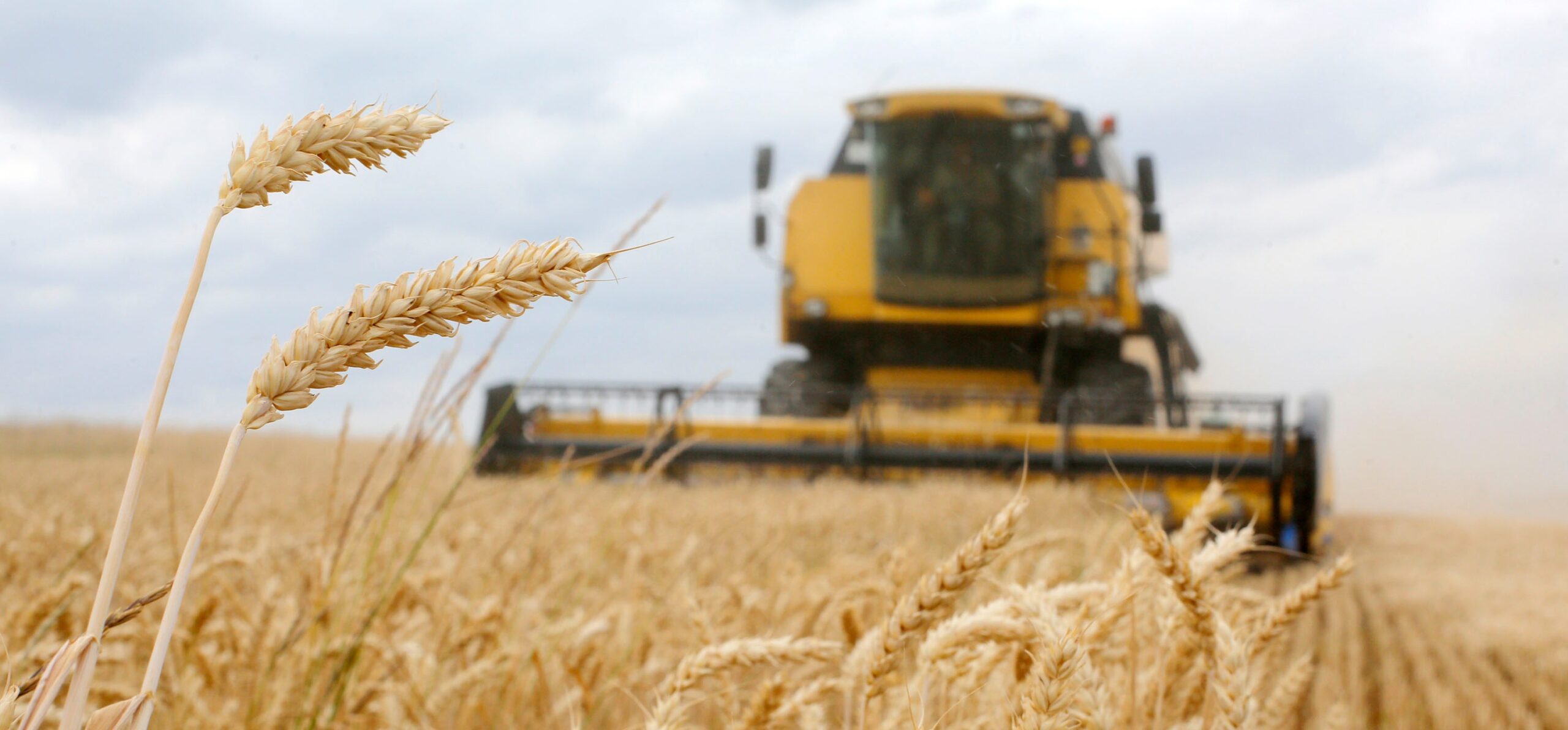 UE y Estados Unidos condenan decisión de Rusia de suspender acuerdo de exportación de trigo