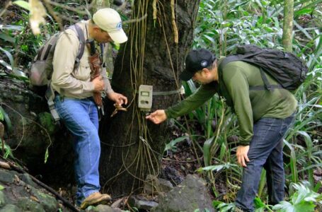 Instalan “cámaras trampa” para identificar nuevas especies en área protegida Los Farallones
