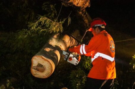 Protección Civil desaloja escombros de árbol en Teotepeque, La Libertad