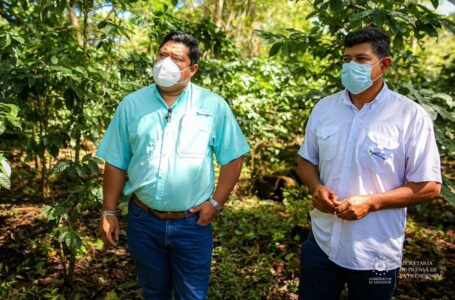 Ministro de Agricultura verifica situación de los cultivos cercanos al volcán Chaparrastique