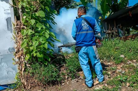 Fumigan viviendas de Colón para eliminar mosquito del zancudo