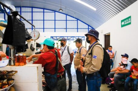 MARN verifica que no se distribuya huevos de tortuga en comercios de la costa salvadoreña