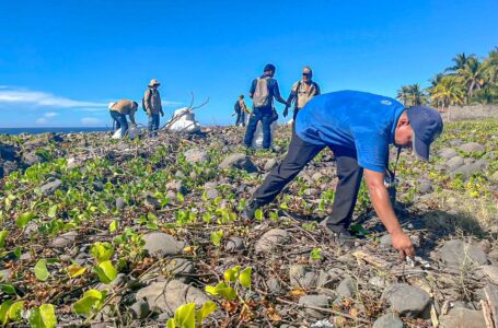 Instituciones trabajan en limpieza de playas de La Libertad.