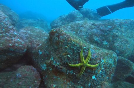 MARN destaca bonanzas reserva protegida de Los Cobanos