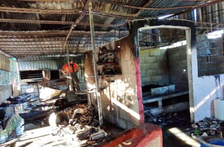 Bomberos extinguen incendio en panadería de Soyapango