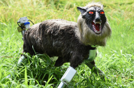 Un lobo monstruo vigila las granjas de piña en localidad de Okinawa, Japón