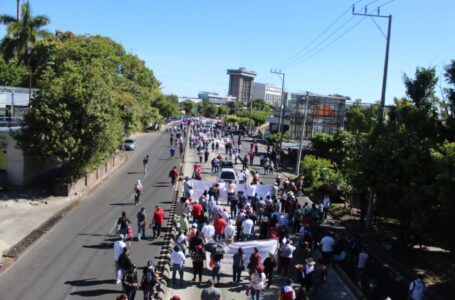 FOTOS y VIDEOS: Marcha opositora con baja asistencia y gente armada