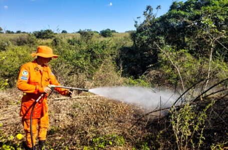 Sofocan incendios en terrenos con maleza seca en Usulután y San Miguel