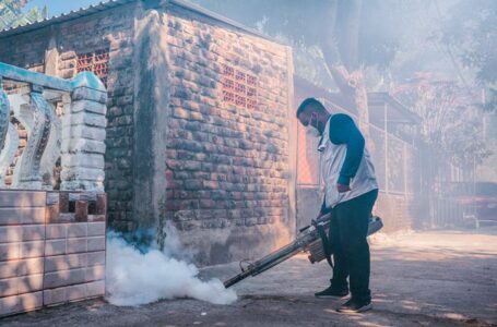 Fumigan más de 700 hogares en comunidad La Granjita, de San Salvador
