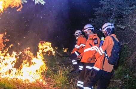 Bomberos y equipos de primera respuesta trabajan para sofocar incendio en faldas del volcán de San Salvador