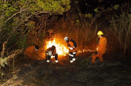 Más de 100 elementos de Bomberos y Protección Civil controlaron incendio de volcán de San Salvador