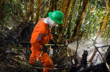 Bomberos sofocan incendios de maleza seca en San Salvador y La Unión