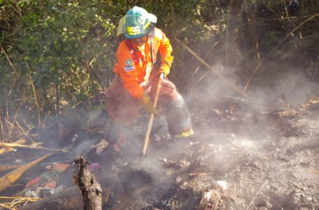 Sofocan dos incendios de maleza seca en distintos puntos del país