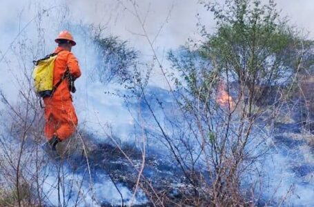Bomberos sofocan dos incendios de maleza seca en distintos puntos del país