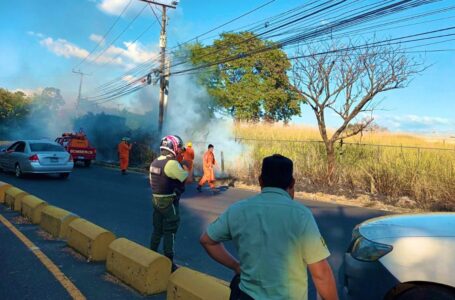 Sofocan cuatro incendios de maleza seca en distintos puntos del país