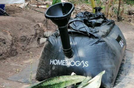 Viviendas de Zaragoza son las primeras del país en generar gas con residuos orgánicos