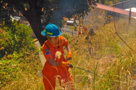 Bomberos sofocaron incendios en Sensuntepeque y Nueva Concepción 