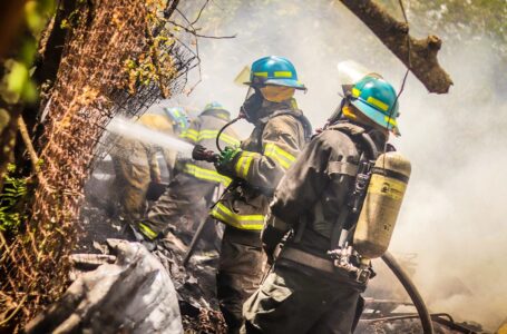 Sofocan incendio en área natural protegida La Joya, de San Vicente