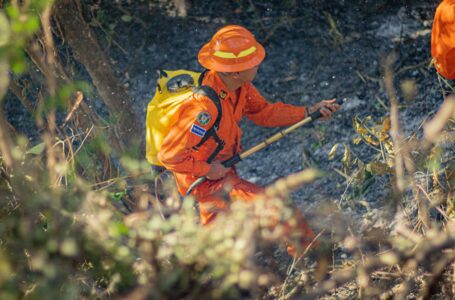 Cuerpo de Bomberos continúa atendiendo racha de incendios en todo el país