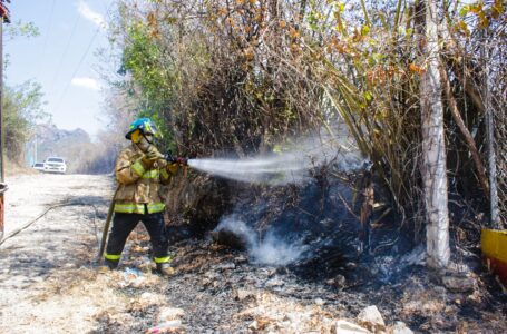 Bomberos sofocan dos incendios en maleza seca en distintos puntos del país