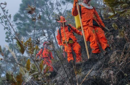 Bomberos atiende racha de incendios en maleza seca en varios puntos del país