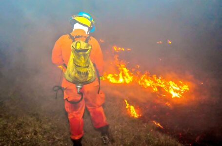 Bomberos atendió más de 100 incendios forestales y en maleza durante el fin de semana