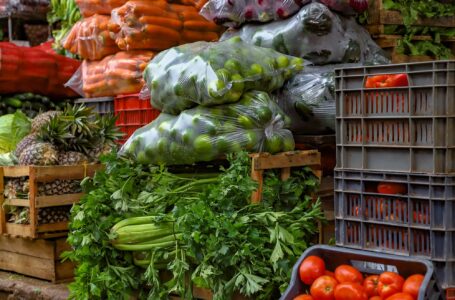 Agromercados cuidarán el bolsillo de los hogares salvadoreños