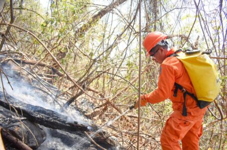 Bomberos atiende incendios en San Vicente y Ahuachapán este mediodía