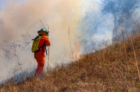 Sofocan tres incendios de maleza seca en San Miguel, Chalatenango y Cuscatlán