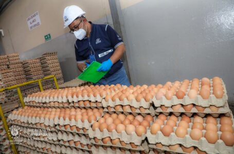 Investigan alza en el precio de los huevos