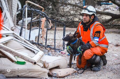 Equipo canino salvadoreño identifica posibles sobrevivientes en escombros de Turquía