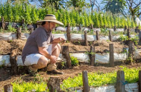 Agricultores salvadoreños podrán vender o comprar sin intermediarios