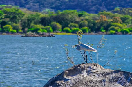 Donan lancha para fortalecer trabajo de Medio Ambiente en Lago de Güija 